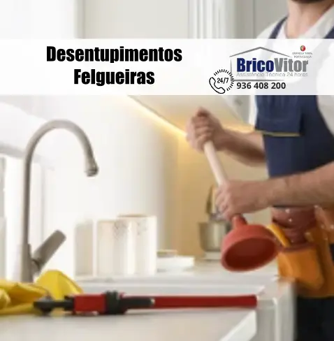 Empresa de Desentupimentos Felgueiras, Fafe, 