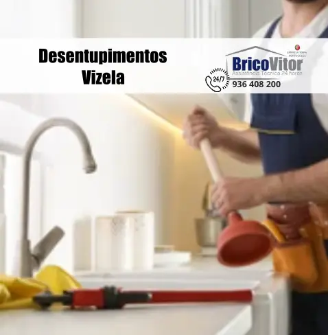 Empresa de Desentupimentos Vizela, 
