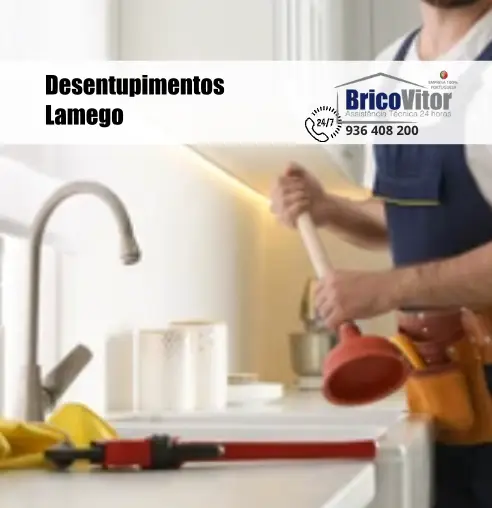 Desentupimentos Lamego, 